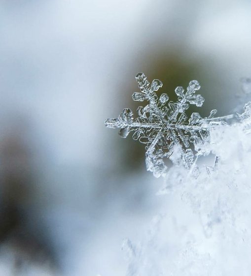 Winterurlaub - Weihnachten in Südtirol ☆ Feldhof Naturns