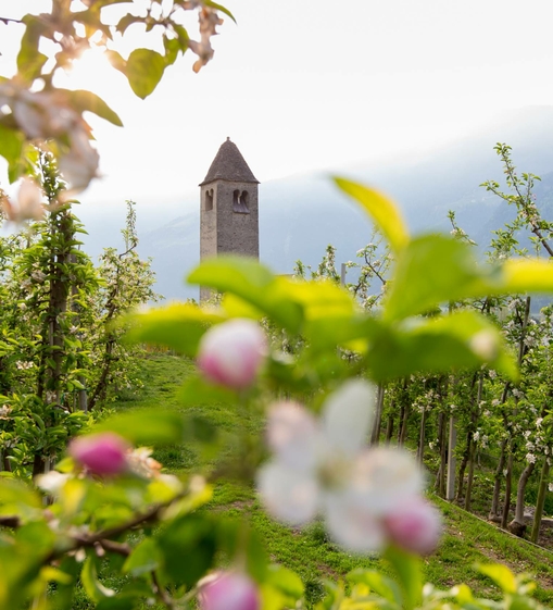 Urlaub Meraner Land :: DolceVita Hotels in Südtirol