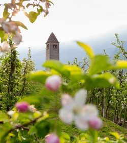 Urlaub Meraner Land :: DolceVita Hotels in Südtirol