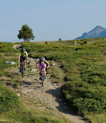 Familienhotel Südtirol: Wellness-Familienurlaub Naturns