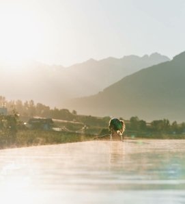 Jobs Naturns :: Tolle Jobs im Meraner Land in Südtirol