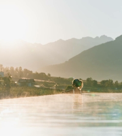 Jobs Naturns :: Tolle Jobs im Meraner Land in Südtirol