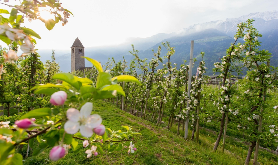 4-Sterne-Superior-Hotel Südtirol im Meraner Land