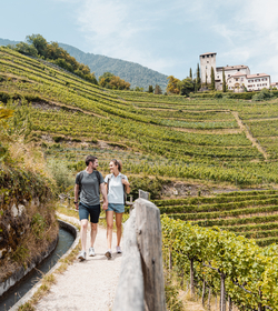 Wellnesshotel Naturns, Vier-Sterne-Superior ::: Südtirol