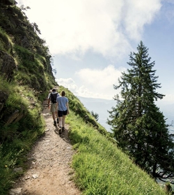 Wanderurlaub Südtirol ► im Aktivhotel im Meraner Land